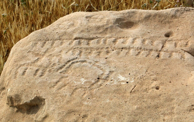 کشف سنگ نگاره تاریخی در کازرون