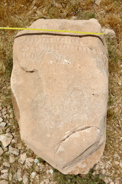کشف سنگ نگاره تاریخی در کازرون